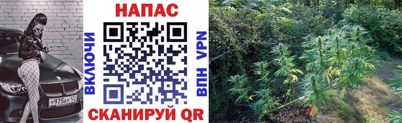 АМФЕТАМИН Мышкин