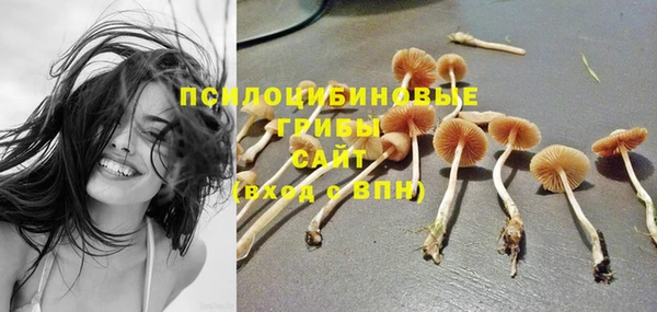 тгк Белокуриха