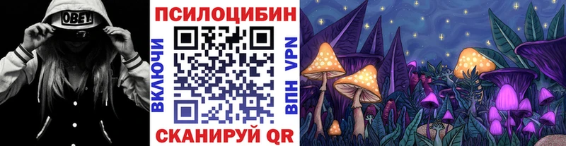 Галлюциногенные грибы GOLDEN TEACHER  закладки  Мышкин 